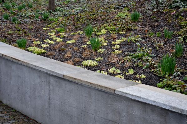 Concrete Wall Construction in Spanish Fork