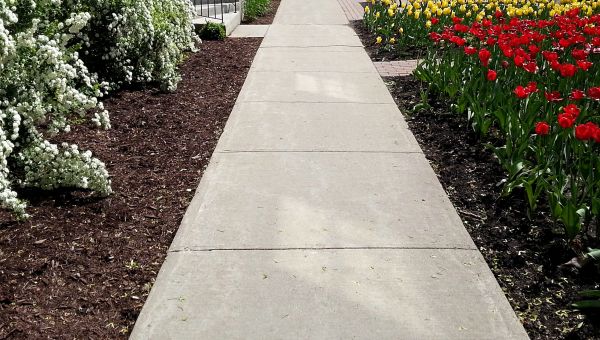 Cement Sidewalk Installation in Spanish Fork