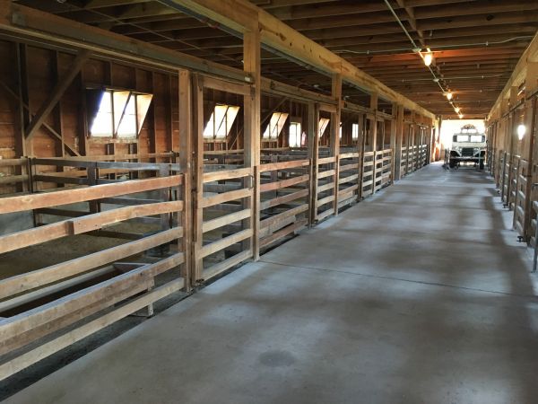 Barn Floor Pouring in Spanish Fork